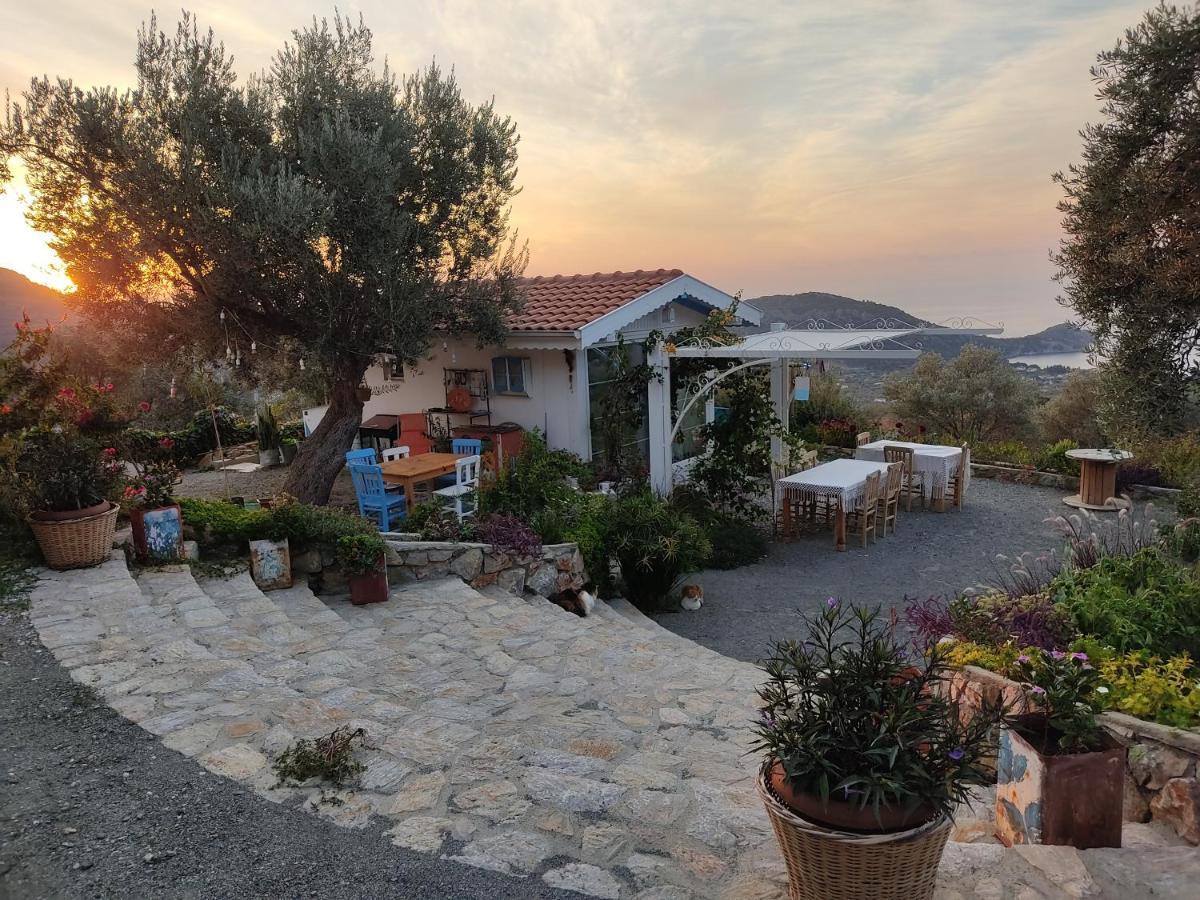 Hotel Mavi Kelebek Datça Exterior foto