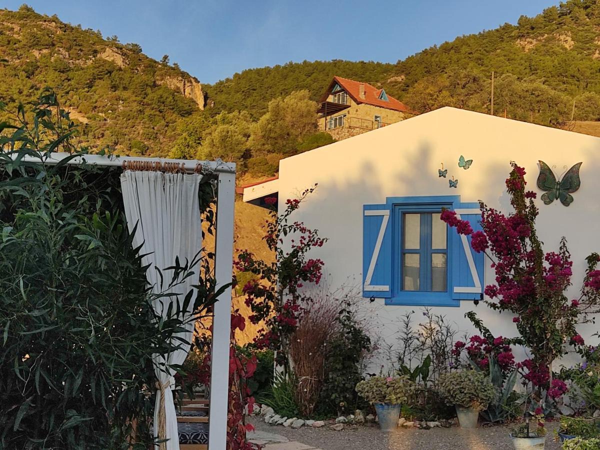 Mavi Kelebek Datça Exterior foto