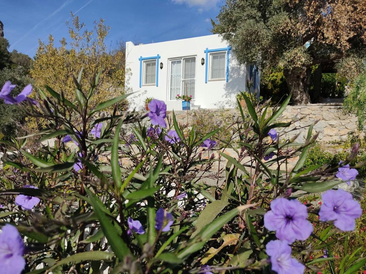 Hotel Mavi Kelebek Datça Exterior foto