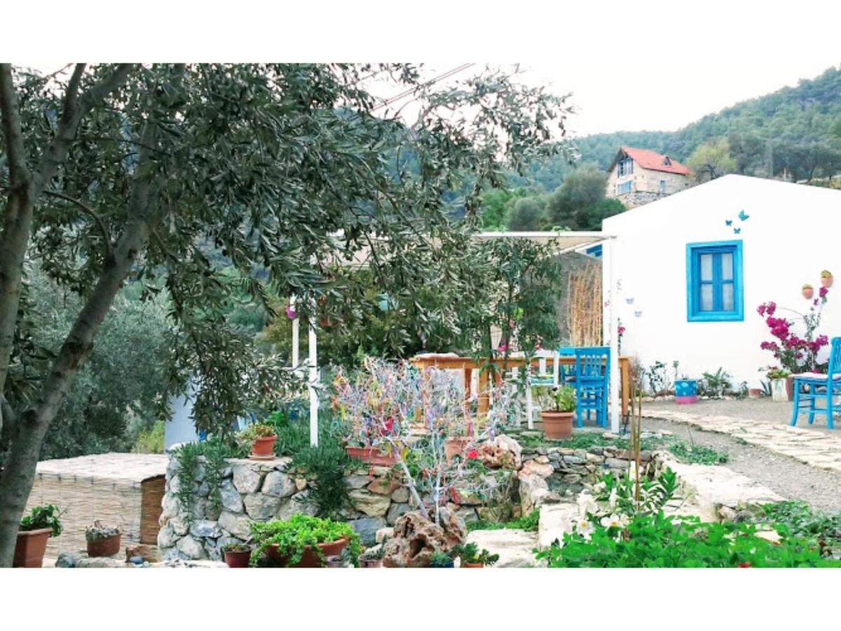 Hotel Mavi Kelebek Datça Exterior foto