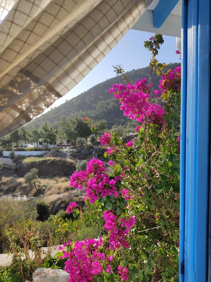 Hotel Mavi Kelebek Datça Exterior foto
